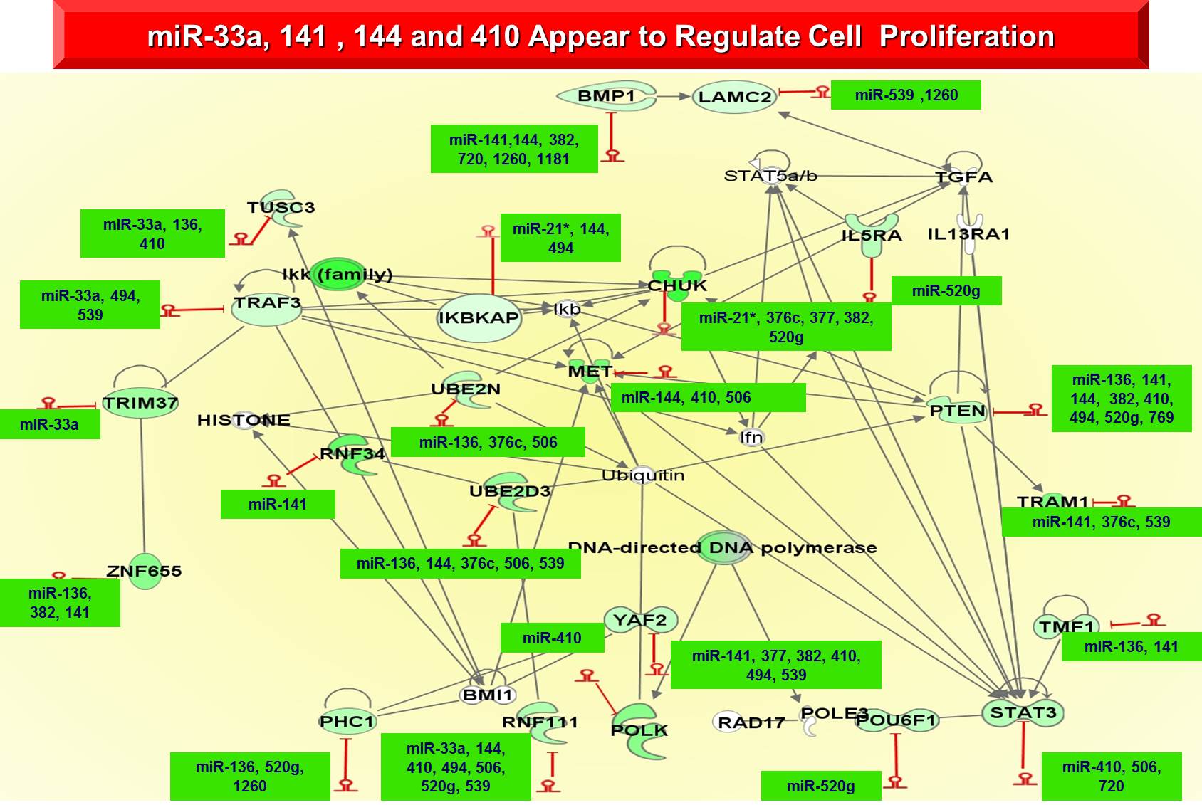 miR-33a, 141, 144 and 410 appear to regulate cell proliferation